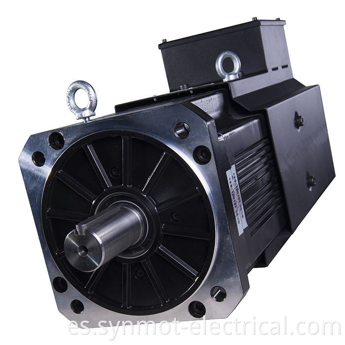 Synmot 22kw 96n.m 1500rpm 800 kW Mini servo motor motor